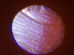 -斯坦星球AI编程·机器人科创·科学实验·信奥·思维·STEM·积木拼搭·竞赛考级(浦东联洋广场大拇指龙阳御桥中心)