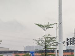 -乌记鲜活牛肉城(金砂东路店)