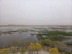 -南大港湿地风景区