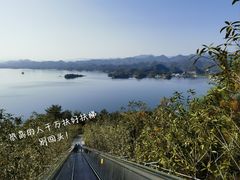 -宝荣鱼馆·临湖之宴(千岛湖店)