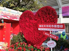 -天河体育中心