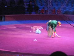 -环球城国际大马戏