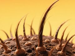 -广州绿地中央广场