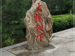 -大槐树寻根祭祖园