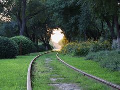 -永定河休闲森林公园