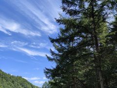 -大连天门山国家森林公园