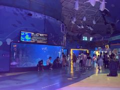 -烟台海昌鲸鲨海洋公园