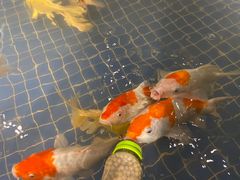 -昆明大悦城未来动物城(螺蛳湾中心店)