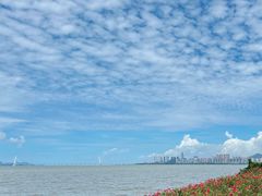 -深圳湾公园(南山区)
