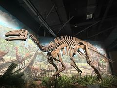 -辽宁古生物博物馆
