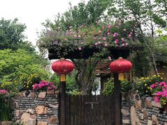 -鹅湖玫瑰文化园