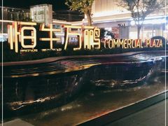 -恒生万鹂广场(唐镇店)