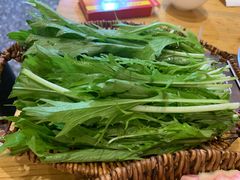豌豆尖-阿婆情腊排骨火锅(金虹路店)