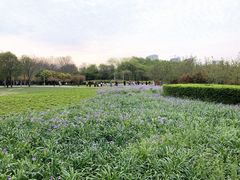 -郑州植物园