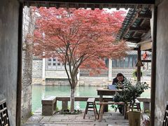 -乌镇西栅景区