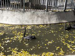 -新疆天山野生动物园