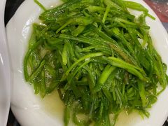 -泸沽肴(泸沽湖大洛水村农村信用社旁店)