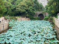 -水绘园