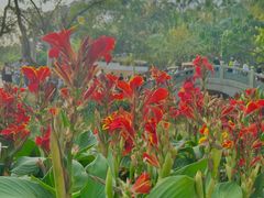 -人民公园(罗湖区)