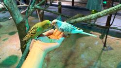 -酷嗒动物文化乐园(cutezoo西溪乐天城店)