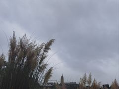 -云禾壹海景庄园餐厅