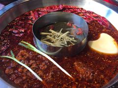 谭血鸭红锅底-谭鸭血老火锅(漳州路店)