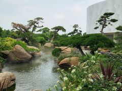 -罗红摄影艺术馆