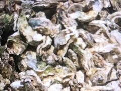 -九寸花汀海鲜烤肉自助(中东迪克店)