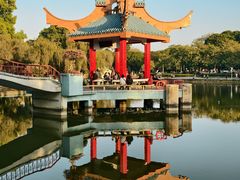 -金砂公园