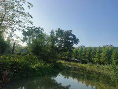-乌镇东栅景区
