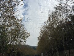 -中旅阿那亚九龙湖·公主酒店