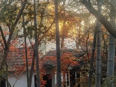 -木子山庄·安徽省老字号·中国炖锅宴