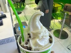 -Salud撒露欧洲冻酸奶(蓝色港湾店)