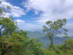 -武陵山森林公园