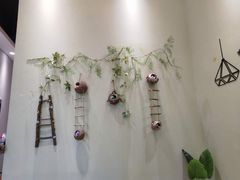 -藏猫猫咖啡主题馆(中央大道店)