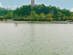 -顺峰山公园
