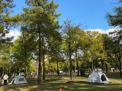 -美兰湖景区