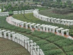 -广州花之恋城堡酒店
