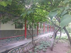 -文瀛公园