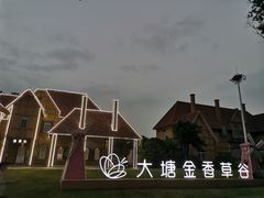 -大塘金香草谷