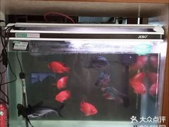 -香满居张记小厨私房菜(青岛站店)