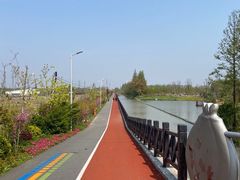 -上海长兴岛郊野公园