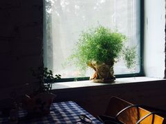 -不舍昼夜咖啡馆