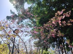 -乌山风景区