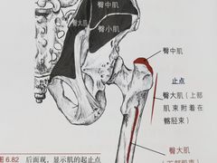 -美式FUN·健身馆