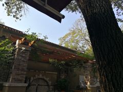 -静园(和平区)