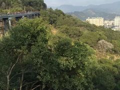 -金鸡山公园