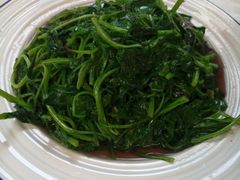 菊叶苋菜-吉事利茶餐厅