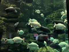 -成都浩海立方海洋公园