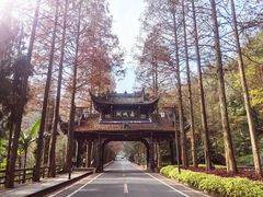 -青城山